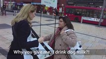 Köpek Sütü İçmek İnsanları Sinirlendirir mi