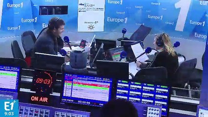 Du bar à chats au bar à chiens