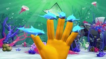 Dolphin Finger Family Rhymes And Shark Twinkle Twinkle Little Star | Sea Animals Nursery Rhymes