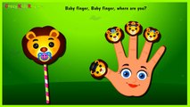 The Finger Family Lion Lollipop Family Nursery Rhymes | Lion Lollipop Finger Family Songs