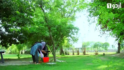 Teri Raah Main Rul Gai Episode 9 Urdu1
