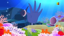 Tiburones dedo de la familia | Cartoon para niños | video educativo | de la poesía infantil
