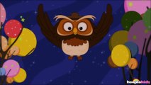 A Wise Old Owl | Nursery Rhymes by Hooplakidz