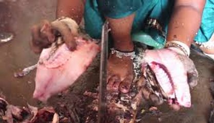 Amazing FISH Cutting | Fastest Cutting | KADAL Tv