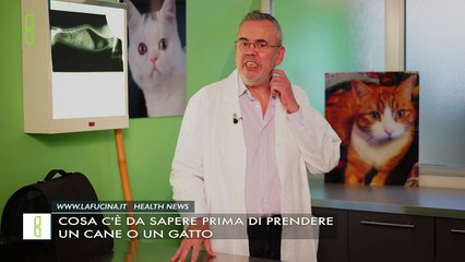 Cosa c'è da Sapere PRIMA di Adottare un Cane o un Gatto