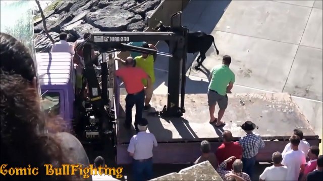 Funny bullfighting festival, Portugal bull fight, Funny crazy bull attacks people