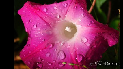 Διάφορες φωτογραφίες.