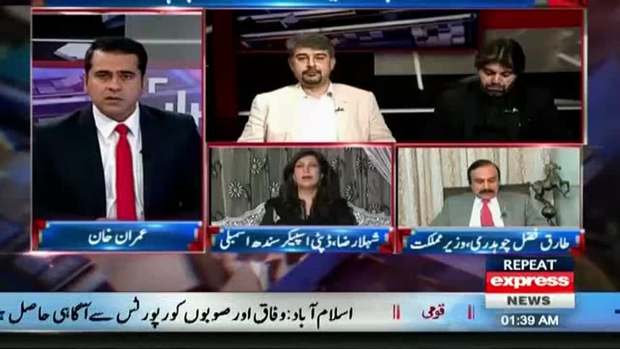 Shehla Raza Live Show Main Apne Mobile Per PMLN Ke Khilaf Kia Dikha Rahi Hain _ Tune.pk