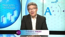 Frédéric Fréry, Le succès d'une stratégie c'est une grande idée... très simple