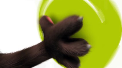 Talking Tom Shorts ep. 19 - Super PART 1