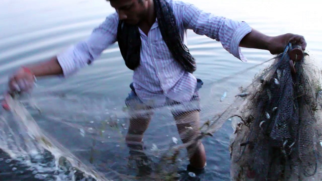 Net Fishing - Small Lake But Have A Lot Of Small Fishes - KADAL Tv