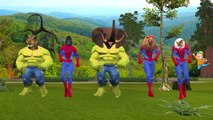 Funny SuperHeroes Spiderman Hulk Loses His Face Becomes Animals | Finger Family Nursery Rhymes