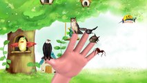 Birds Finger Family Nursery Rhyme | Egle,owl,Fish,Ant etc Birds finger family nursery kids rhyme