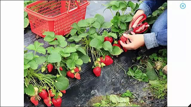 Simple English Conversation - Learn English Speaking Easily Quickly || Babe Learning