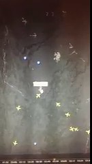 Chapecoense uçağının görüntüsü ortaya çıktı