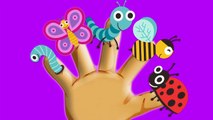 Finger Family Insects DADDY FINGER Song Insects Song Nursery Rhymes & Kids Songs Cookie Tv Video