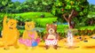 Ozu Animal Finger Family Rhymes || Teddy Bears Finger Family || Finger Family Rhymes