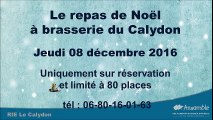 Repas de Noël à la Brasserie du Calydon - 2016