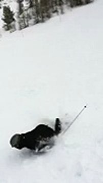 Quand tu skies mais que tu ferais mieux d'être chez toi