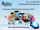 Web Designing, Website Development, SEO Company in Delhi