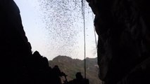 Bat Emergence at Vihear Luong Cave, Cambodia