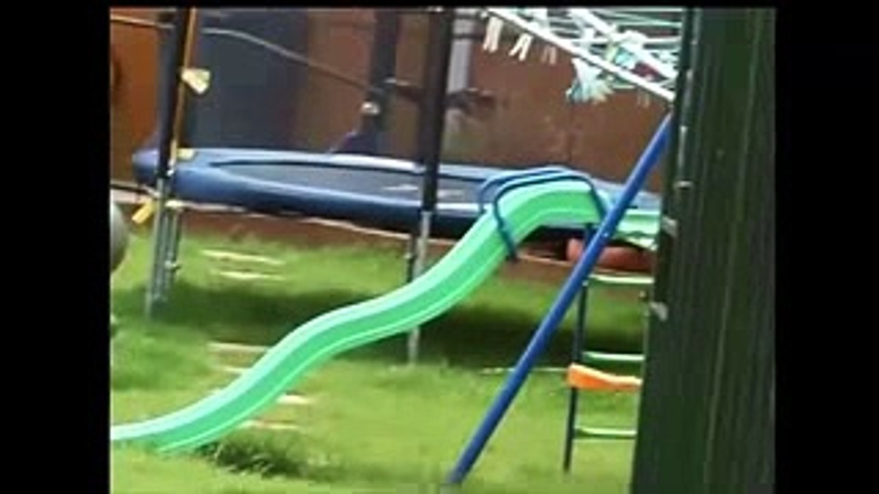 Cats are just the funniest pets ever - Funny cat compilation