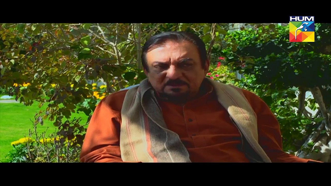 Bud Gumaan Eds 49 L    HUM TV Drama 28 November 2016