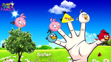 Video herunterladen: Angry Birds Finger Family Song | Daddy Finger Daddy Finger | Cartoon Nursery Rhymes