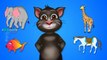 A for Apple Nursery Rhymes | 3D Rhymes for Children | Abc Songs for Kids | Tom Cat ABC Rhymes