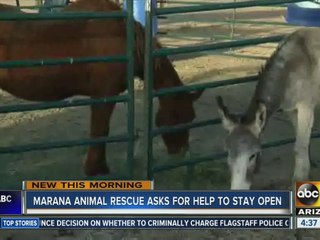 Marana Animal Rescue asking for help to stay open