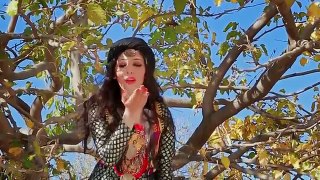 Seeta Qasemi   Gharanay  2017 _ Pashto new song