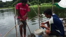 Wow AMAZING Net Fishing - Net Fishing at Siem Reap Province - Cambodia Traditional Fishing #13