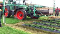 new agricultural technology - straw spreader machine for planting - new agricultural machinery #1