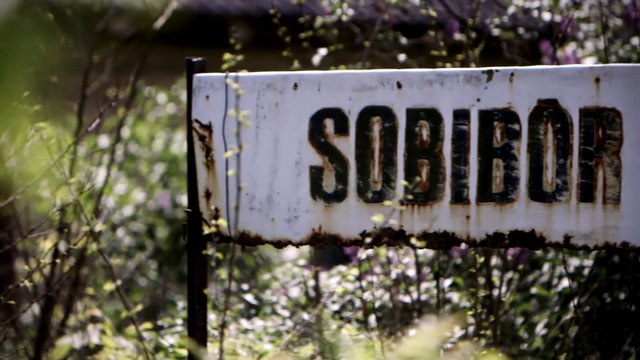 Les camps de l'horreur nazie - Bande annonce