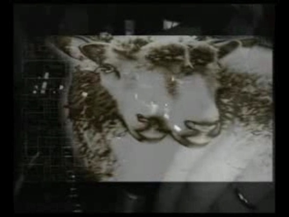 David Guetta & Joachim Garraud" Red Light" Paris