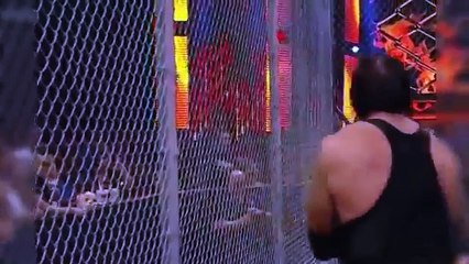 brock lesnar vs undertaker hell in a cell full