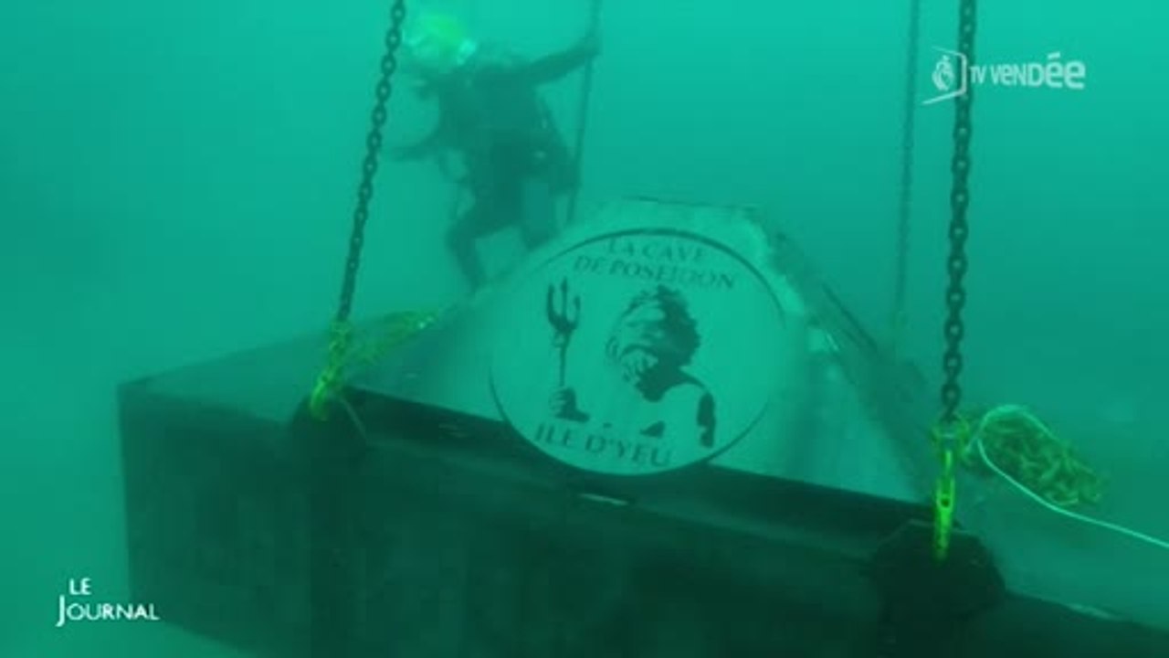 Vin : Découverte de la cave de Poséidon (Vendée)