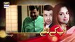 Watch Aap Kay Liye Last Episode - on Ary Digital in High Quality 29th November 2016