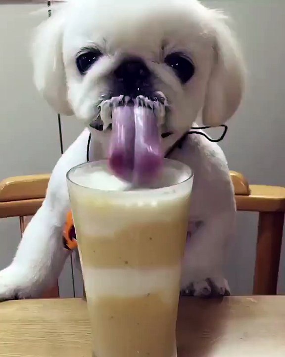 Yummyy..!