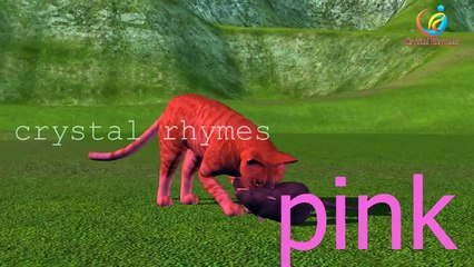 Learn colors with 3d animals collection | 3d Colors Lesson for Nursery Kids