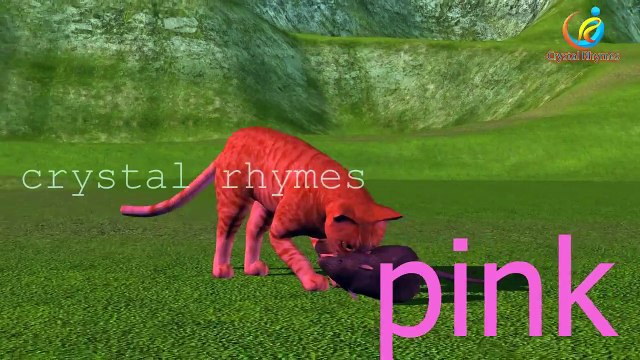 Learn colors with 3d animals collection | 3d Colors Lesson for Nursery Kids