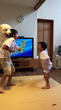 Un chien bienveillant tente de séparer deux frères qui se battent