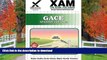 READ PDF GACE Spanish 141, 142 Teacher Certification Test Prep Study Guide (XAM GACE) READ NOW PDF
