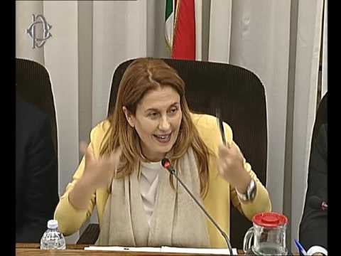 Roma - Audizioni Maggioni, Dall'Orto, Verdelli (28.11.16)