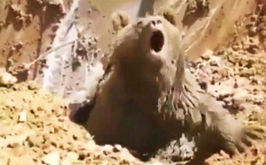 Construction Workers Uncover a Surprise