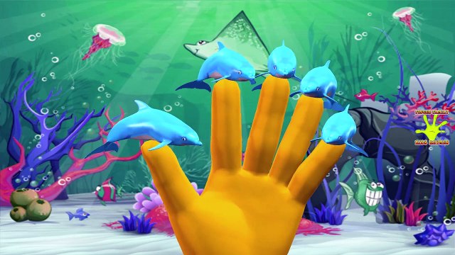 Water Animals Finger Family | Crocodile Shark Dolphin Finger Family Rhymes | Kids Rhymes Collection