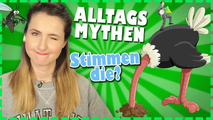 5 ALLTAGSMYTHEN - Teste dich selbst! | Stimmt's | Pimp my mind