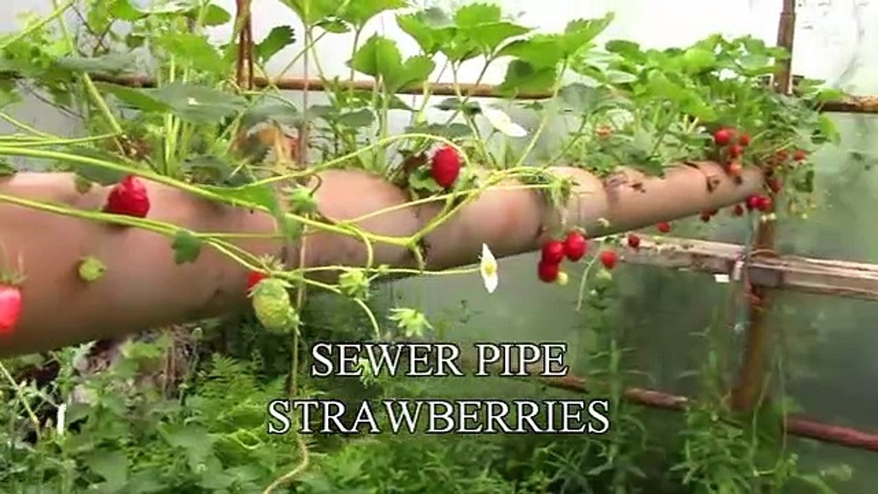 It makes holes on some pipes. The reason is brilliant!
