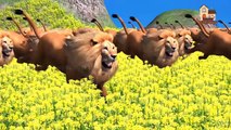 Lion king Vs King Kong Epic Battle Short Film HD | funny cartoon 3d animation