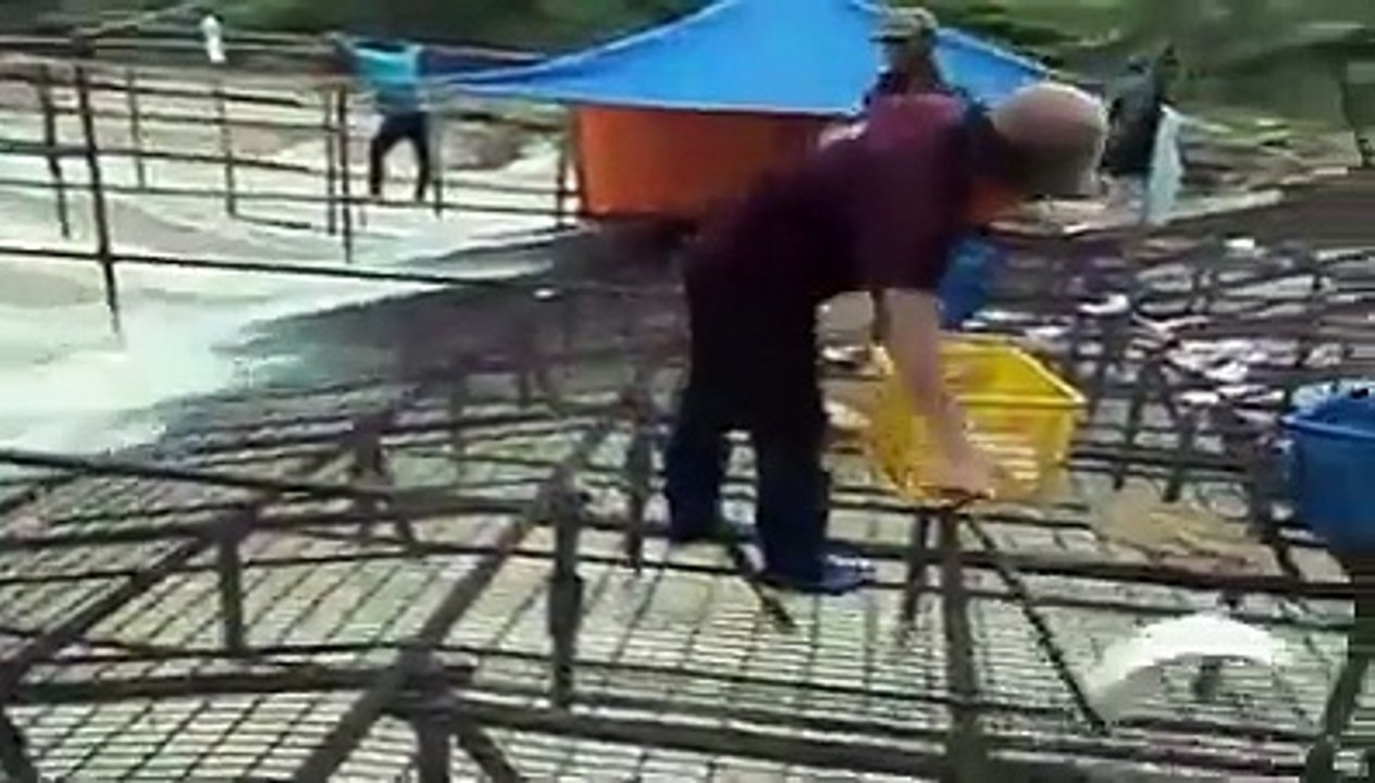 latest fishing